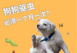 狗狗一定要每个月驱虫一次吗？别被&ldquo;一刀切&rdquo;误导