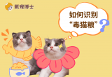 如何一眼识别毒猫粮？新手必看！
