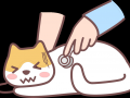 小猫换季会拉肚子吗？