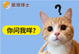 猫咪绝育后，它知道自己&ldquo;被嘎了&rdquo;吗？