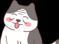 猫咪老年痴呆了，还能活多长久？