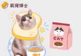 换粮必看！怎么判断猫粮适不适合你家猫咪？