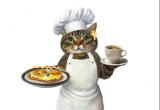 猫咪肝功能不好吃什么？附禁食清单