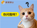 猫咪绝育后，它知道自己&ldquo;被嘎了&rdquo;吗？