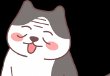 猫咪老年痴呆了，还能活多长久？